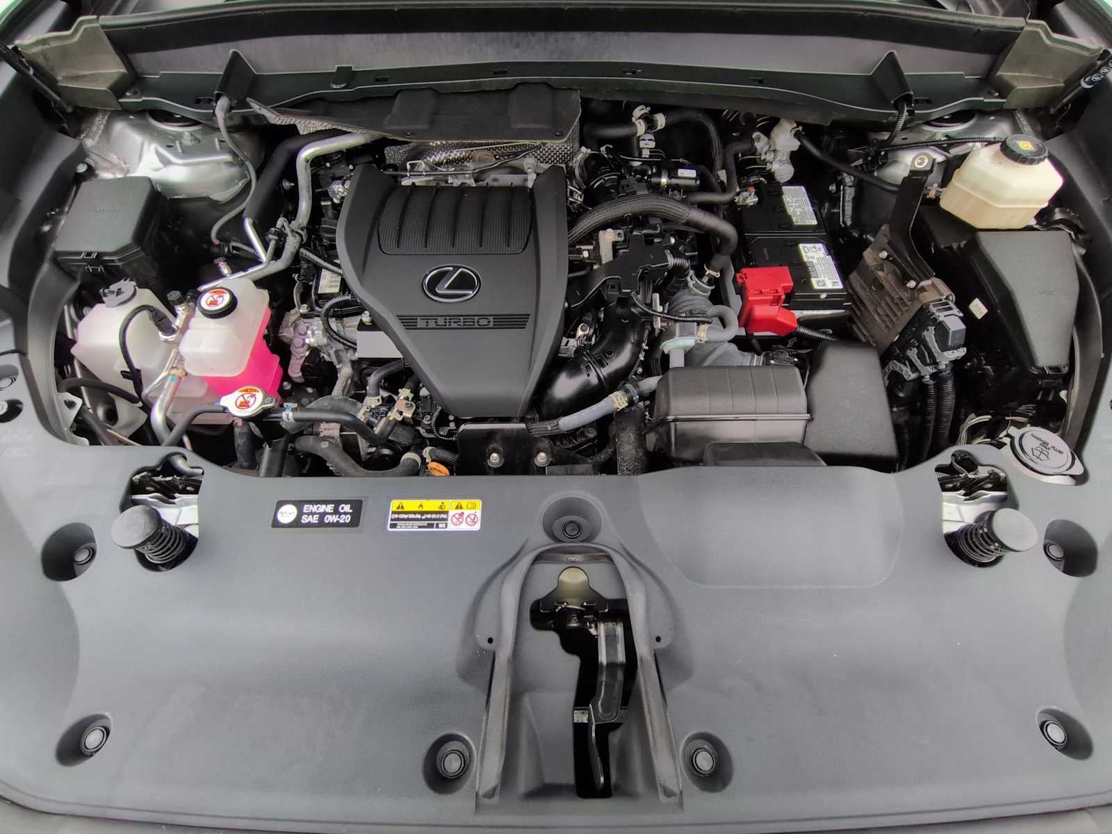 2024 Lexus TX TX 350