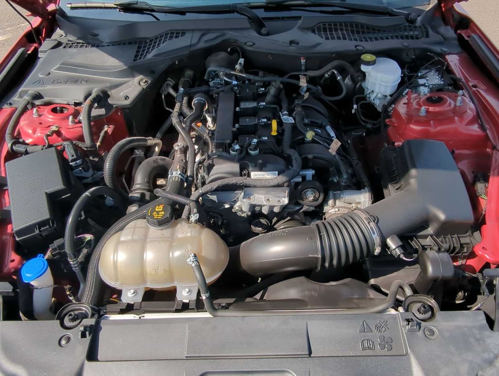 2021 Ford Mustang EcoBoost