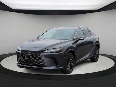 2024 Lexus RX Premium