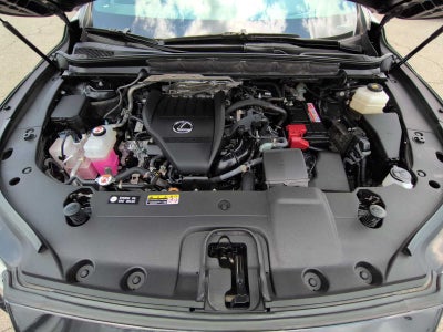 2023 Lexus RX 350 Luxury