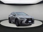 2024 Lexus NX 350h Premium