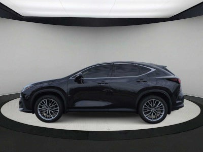 2026 Lexus NX 350 Luxury