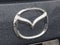 2021 Mazda Mazda CX-9 Carbon Edition