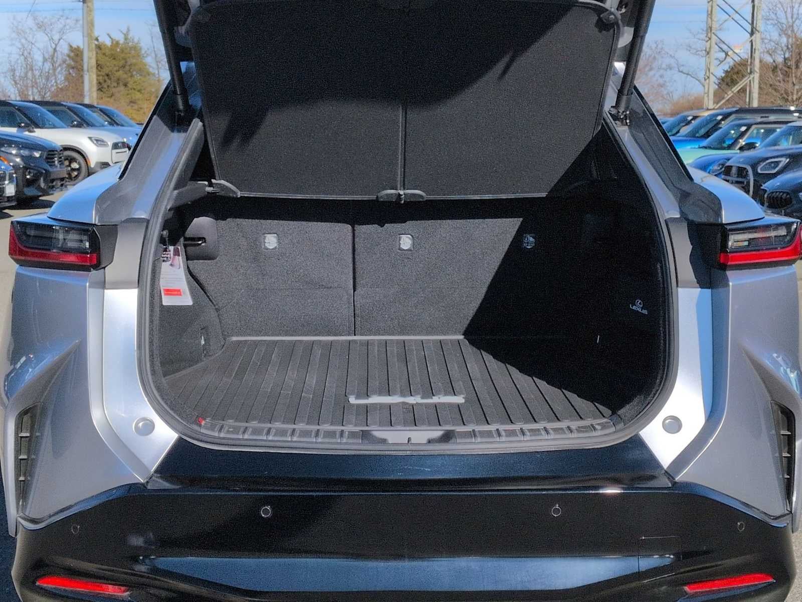 2024 Lexus RZ Premium