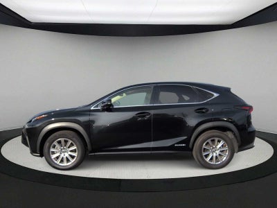 2020 Lexus NX NX 300h