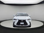 2024 Lexus NX 350h Premium