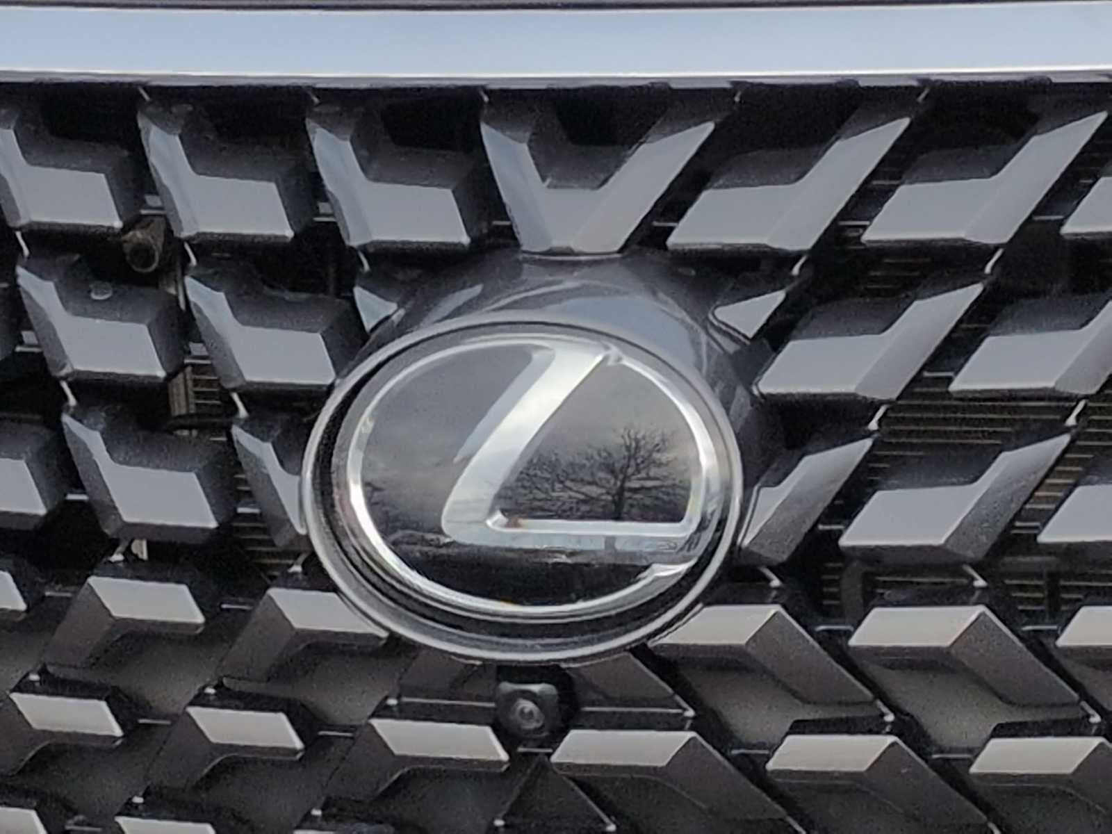 2023 Lexus GX Luxury