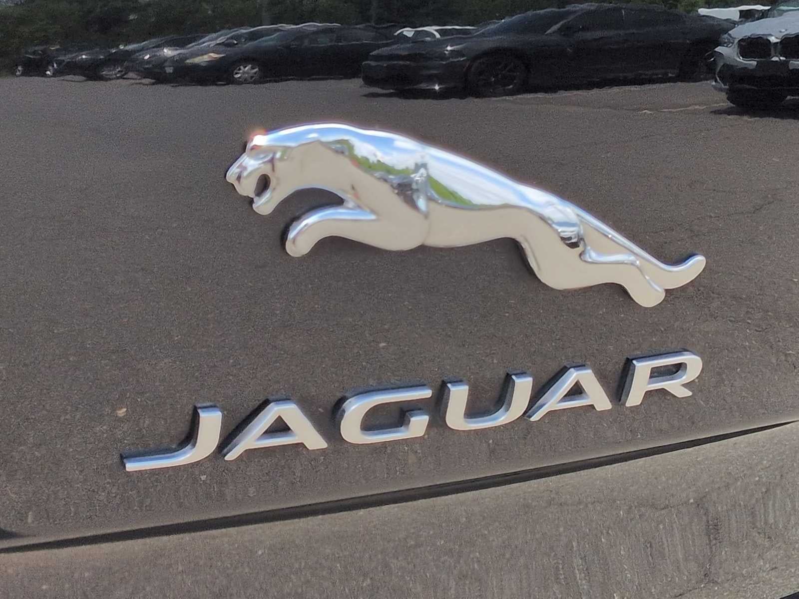 2019 Jaguar XJ XJ50 V6