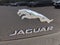 2019 Jaguar XJ XJ50 V6