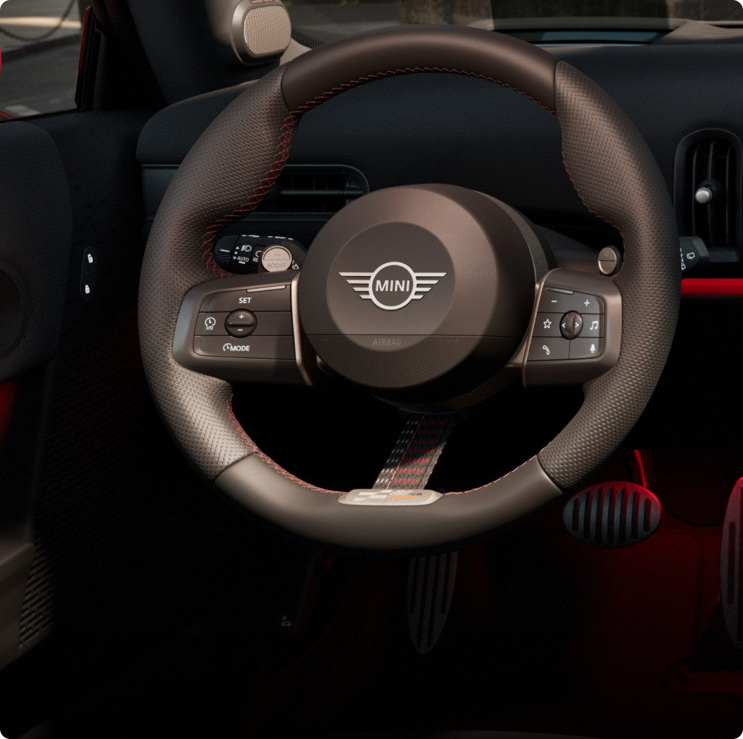 Close-up of the steering wheel.