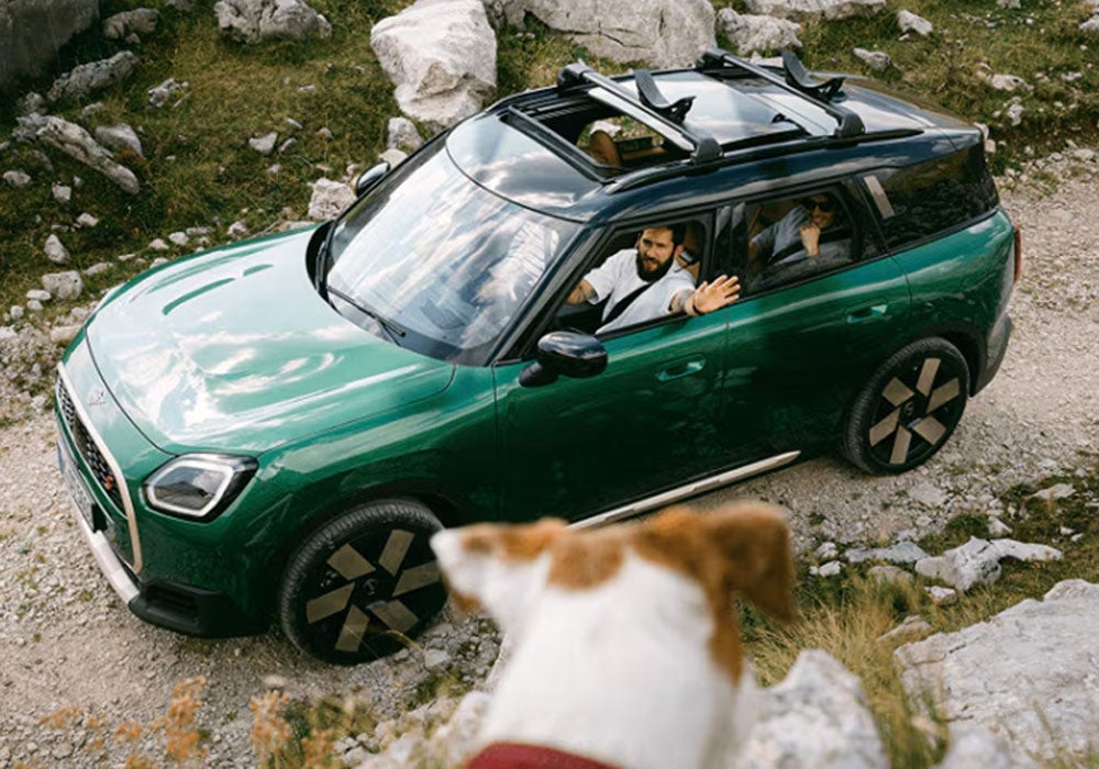 Man driving MINI waving at dog out the window.